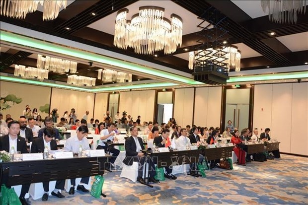 Vietnam-Japan relations featured in Da Nang workshop